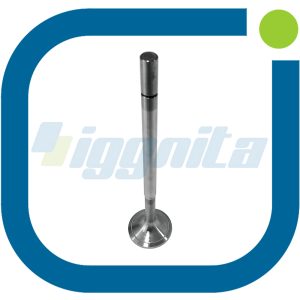 Впускной клапан Jenbacher: 414487 OEM