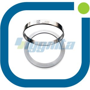 Огненное кольцо и Огненное кольцо - 421782 - 448559 - Jenbacher 420 OEM